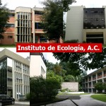 Instituto de Ecología A.C.