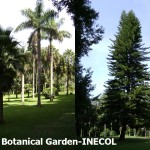 Botanical Garden - Inecol