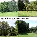 Botanical Garden - INECOL